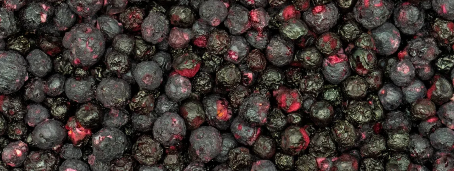 lyofilizované čučoriedky Grizly