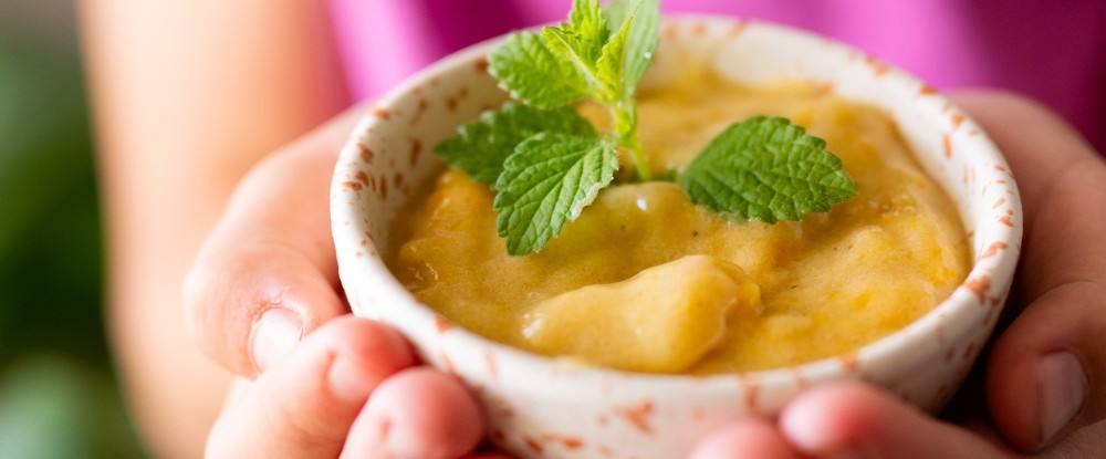 Domáca mangová zmrzlina z GRIZLY manga - mango zmrzlina recept