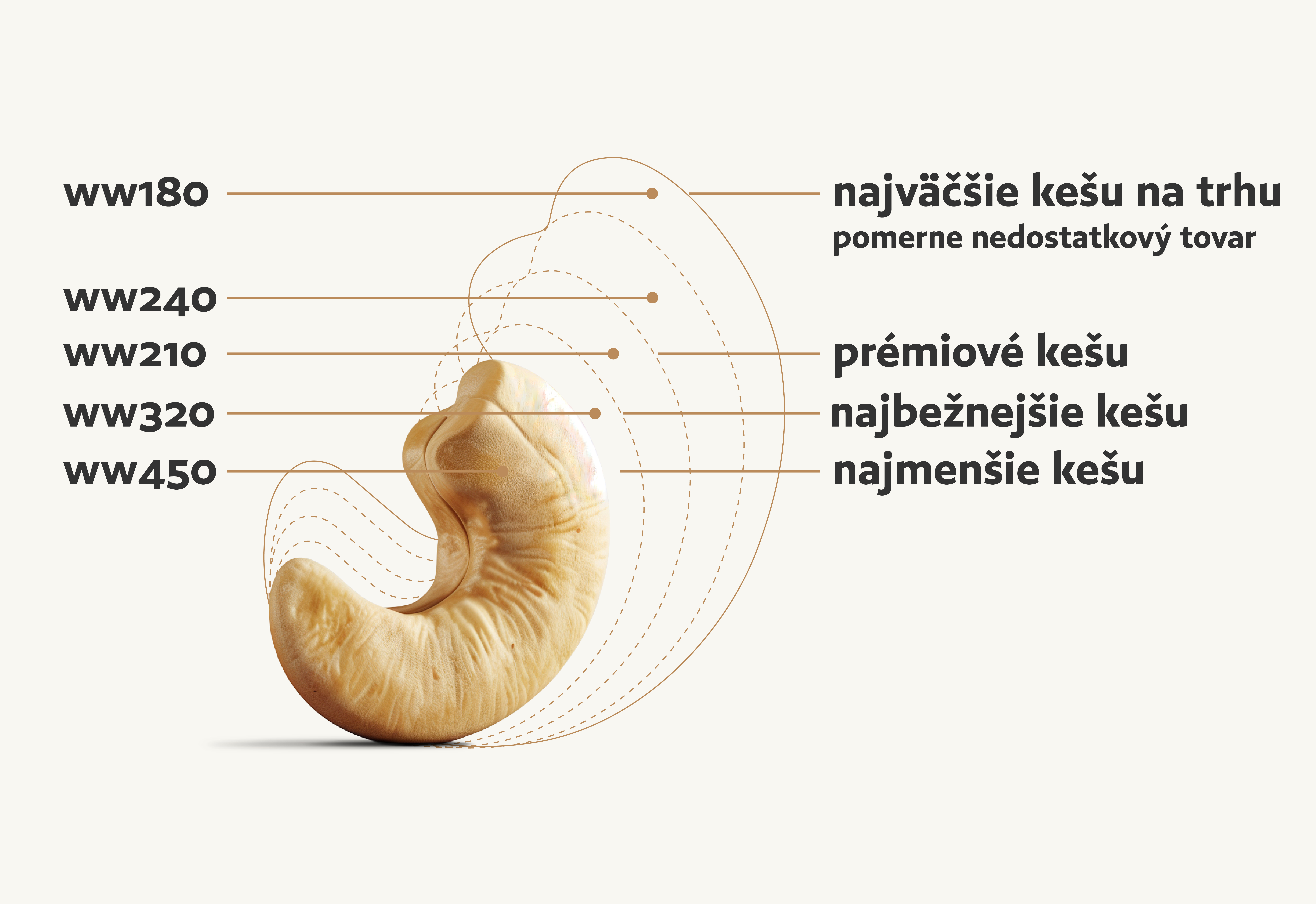 Láhev kečupu a rajčata