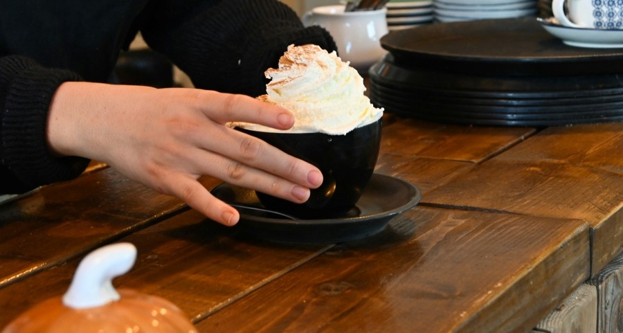 Zdravé potraviny - ingrediencie na tekvicové pyré a tekvicové latte Grizly