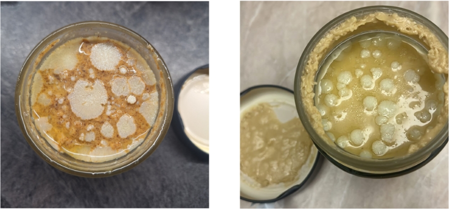 Tukový výkvet nie je pleseň – orechové maslá Grizly