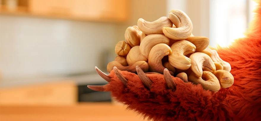 Ako vybrať tie pravé kešu orechy? Grizly poradí