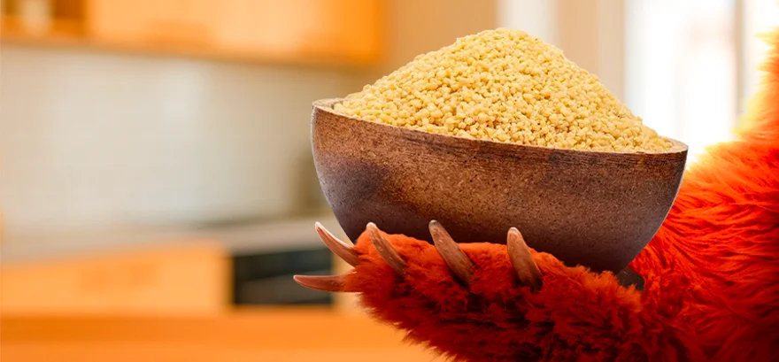 Nákupný poradca: Obilniny – druhy, porovnanie a použitie