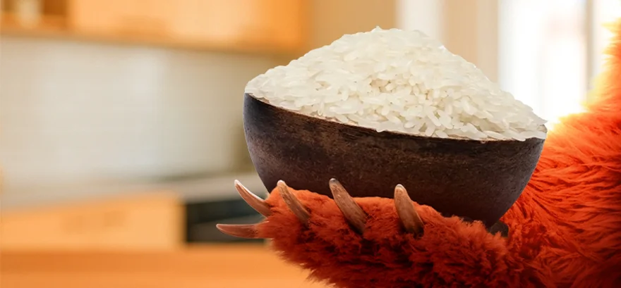 Ako vybrať správnu ryžu? Grizly poradí