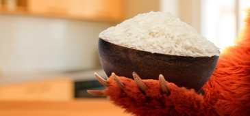 Ako vybrať správnu ryžu? Grizly poradí