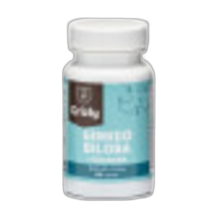Ginkgo biloba