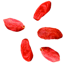 Kustovnica čínska (Goji)