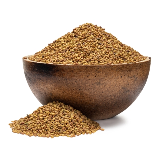Alfalfa BIO semienka na klíčenie