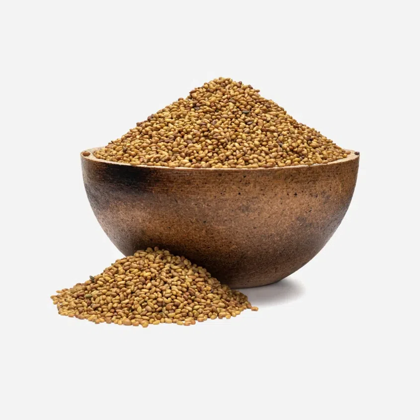 Alfalfa BIO semienka na klíčenie