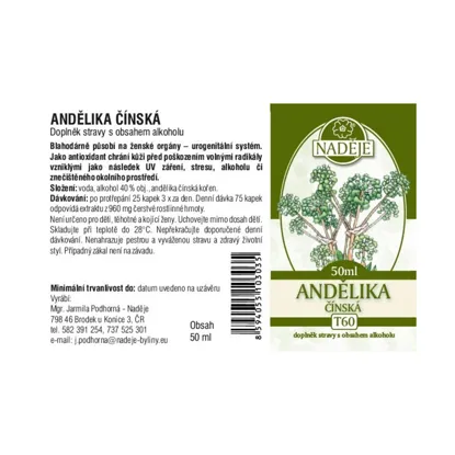 Angelika čínska tinktúra z byliny