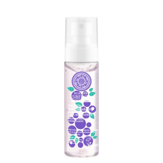 Anti-OX Wild Blueberry Hydratačná pleťová hmla tonikum