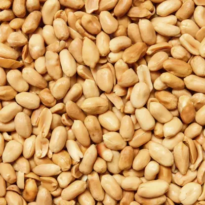 Arašidy lúpané pražené nesolené