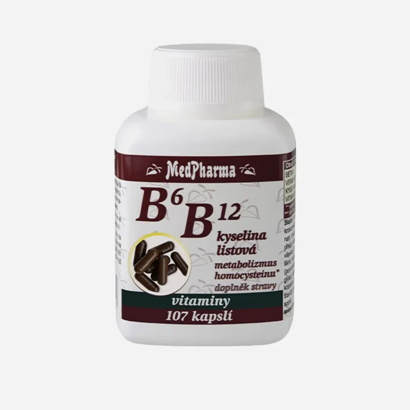 B6, B12 a kyselina listová 107 tabliet
