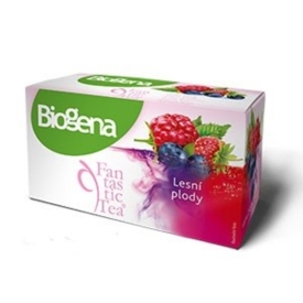 Biogéna Fantastic Tea Lesné plody