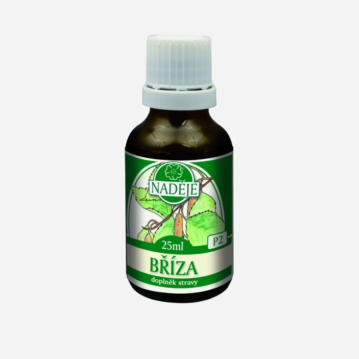 Breza - tinktúra z púčikov