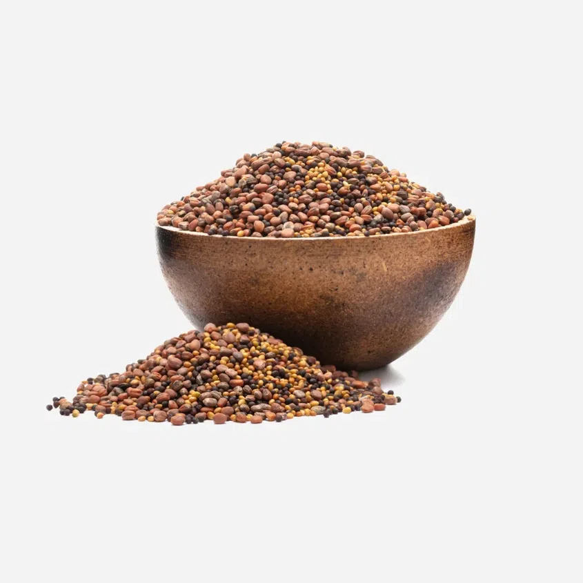 Brokolica, reďkev, ďatelina BIO mix semienok na klíčenie