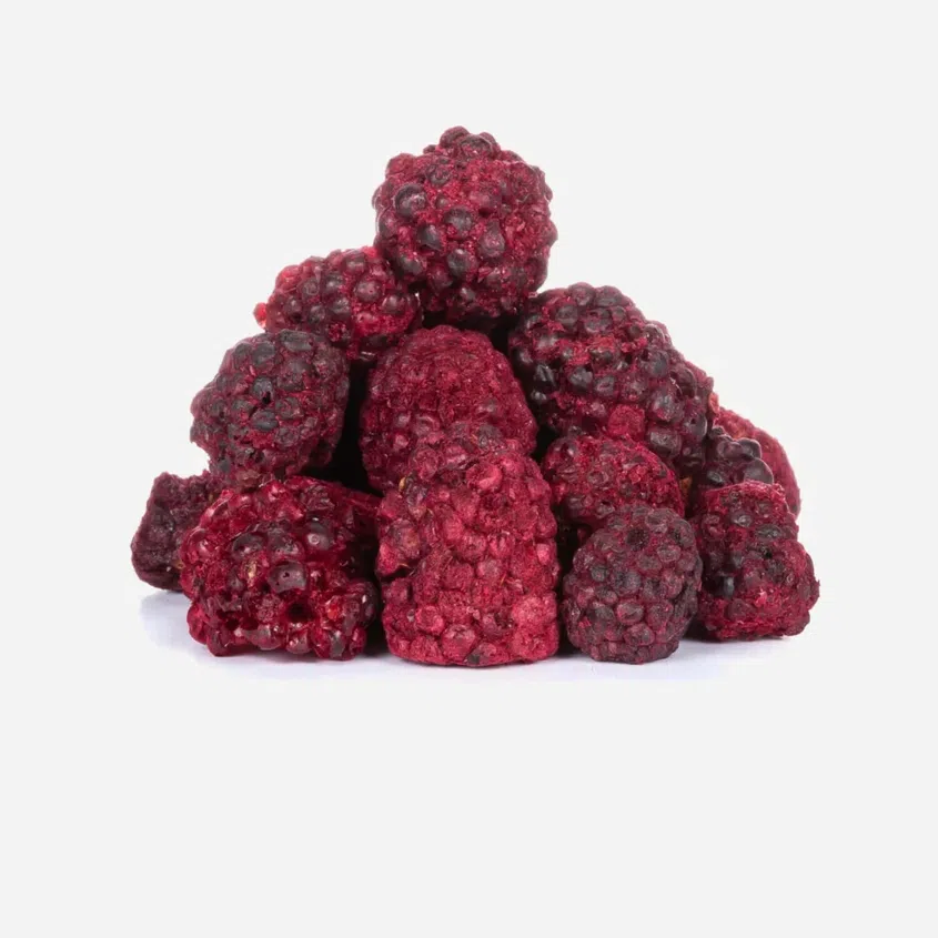 Černice lyofilizované