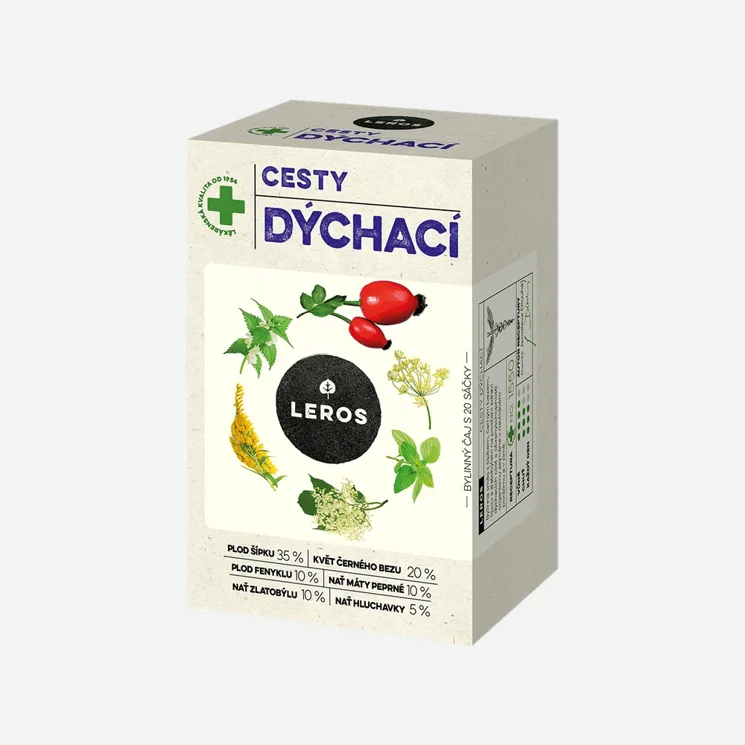 Cesty dýchacie