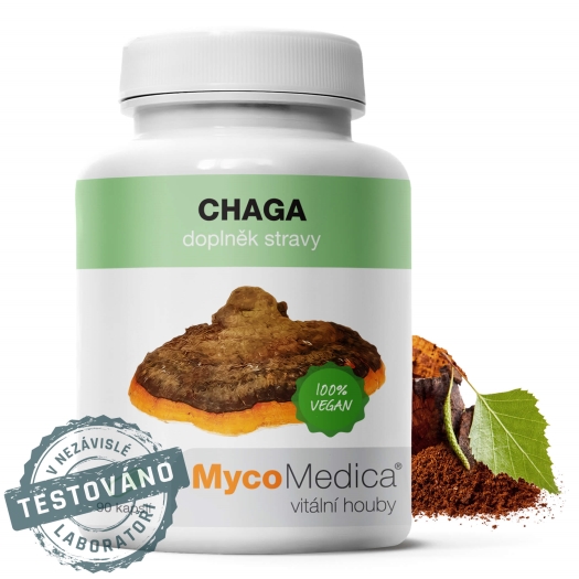 Chaga 90 tabliet
