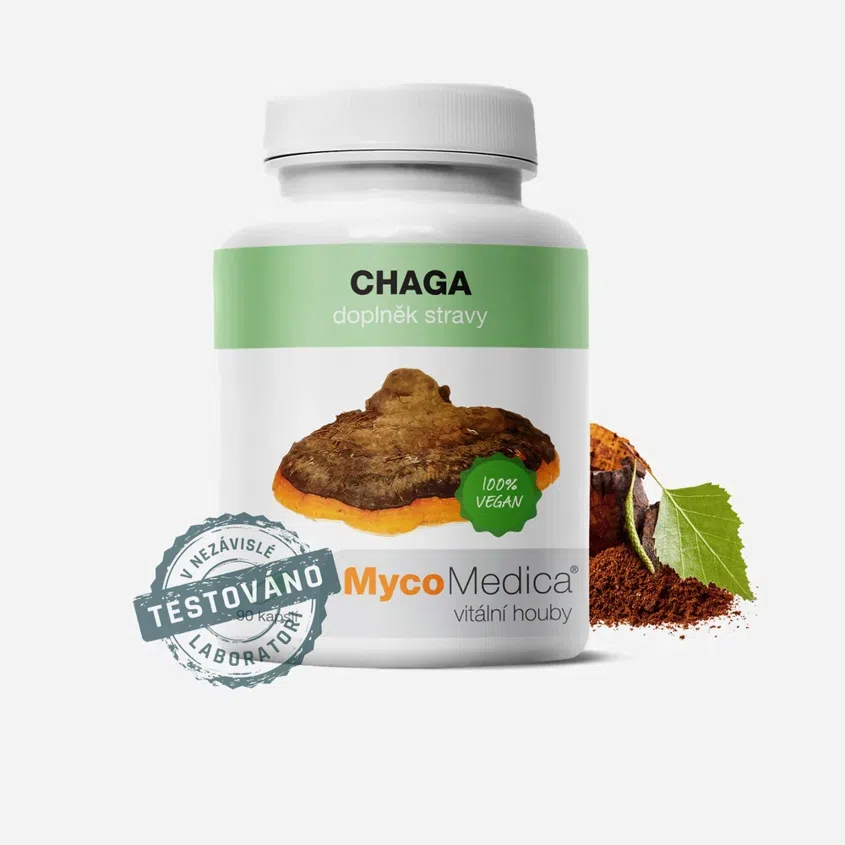 Chaga 90 tabliet