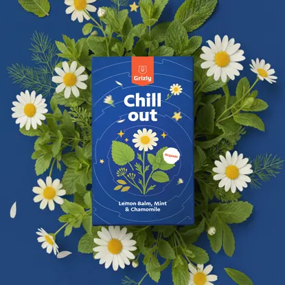 Chill out BIO bylinný čaj