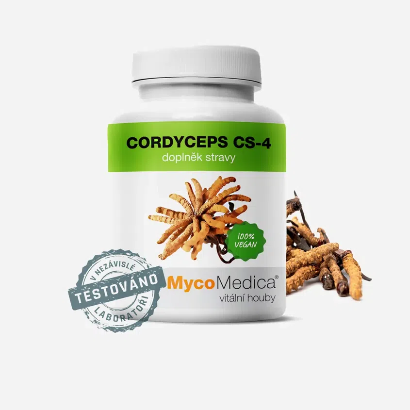 Cordyceps CS-4 90 tabliet