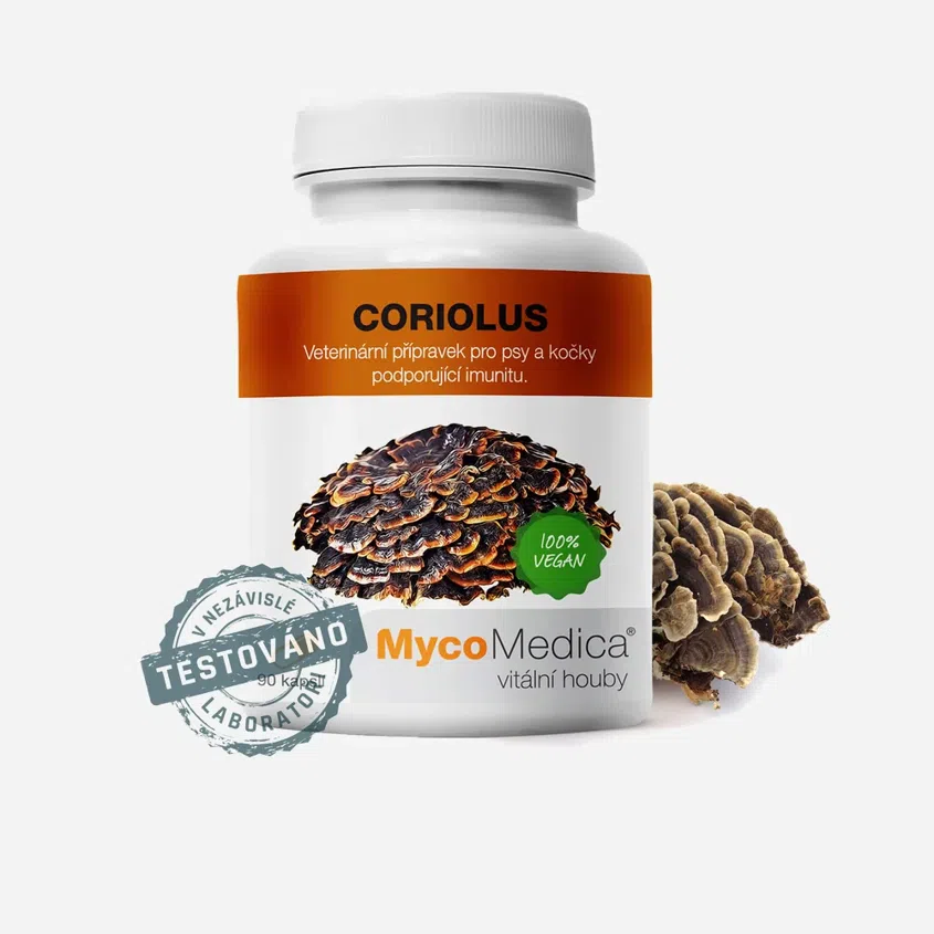 Coriolus 90 rastlinných tabliet