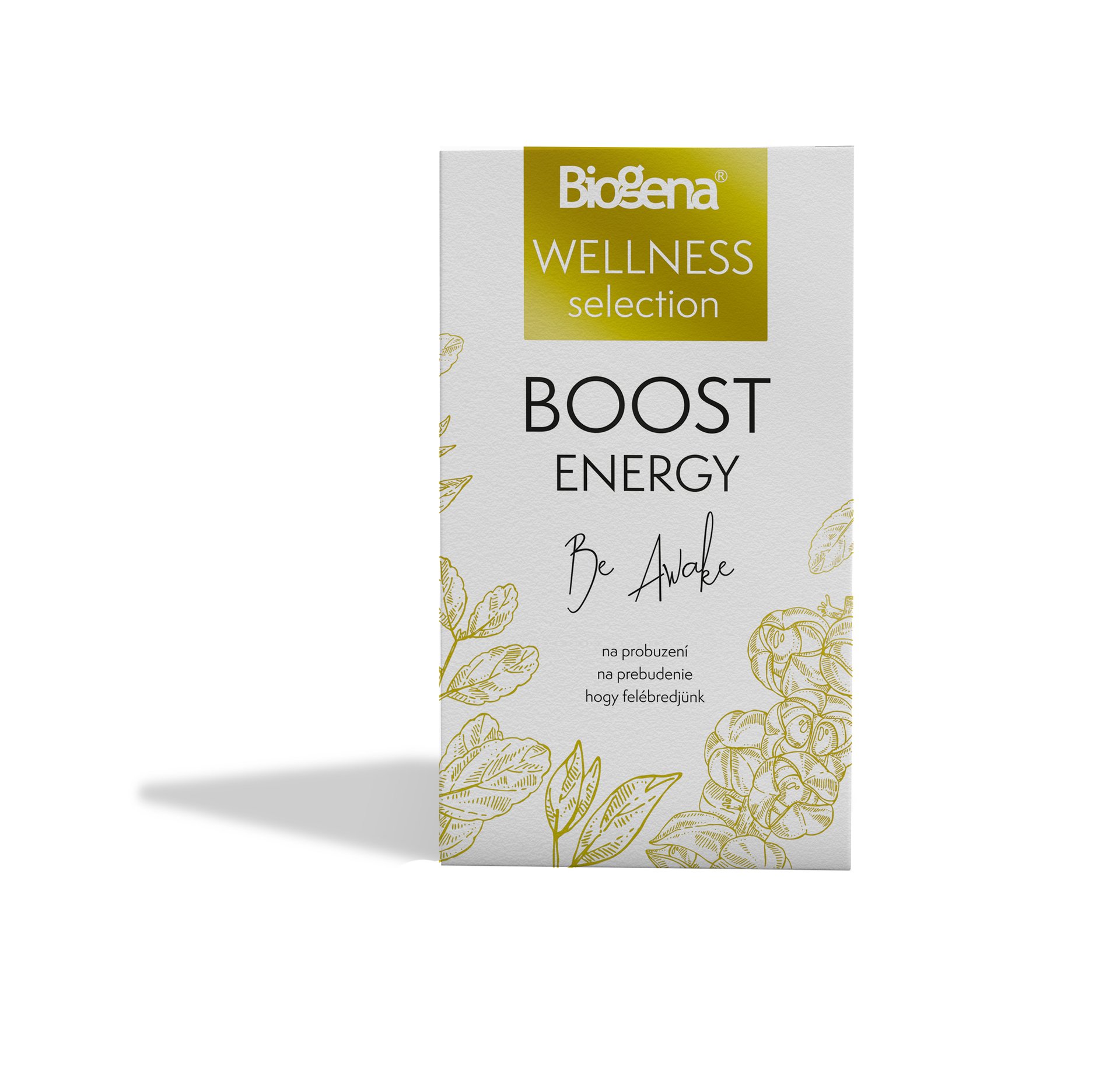 E-shop Biogéna Boost energy 20 sáčkov