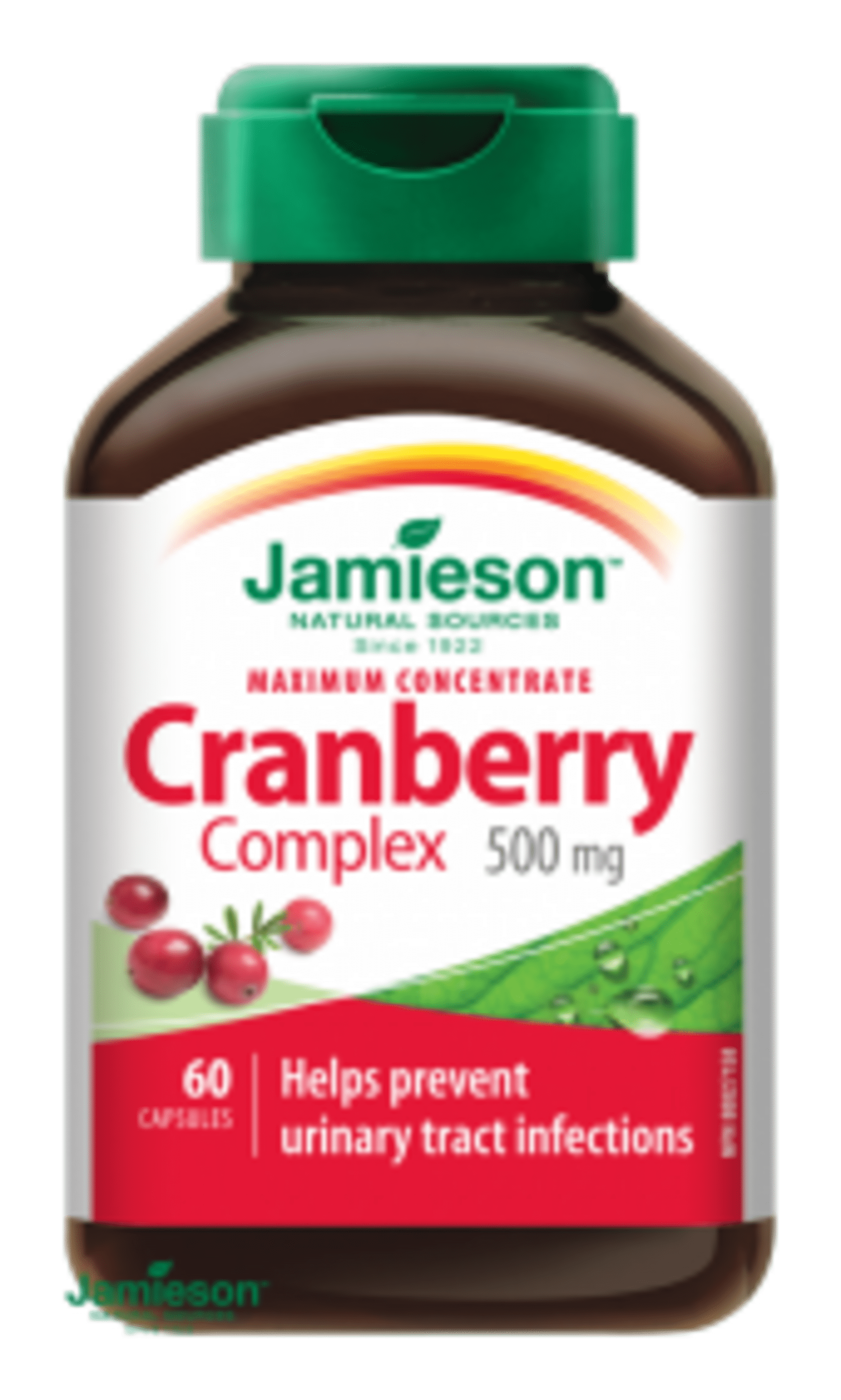 E-shop Jamieson Brusnice - komplex 500 mg 60 kapslí