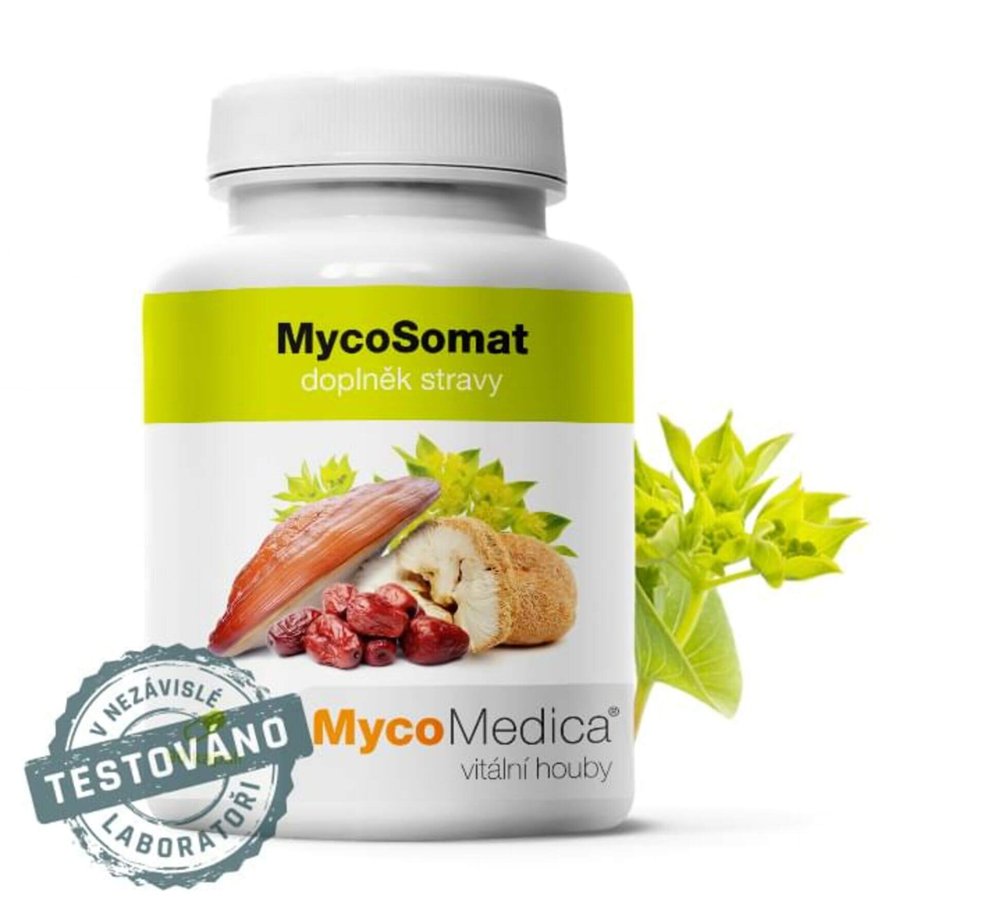 E-shop MycoMedica MycoSomat 90 tabliet