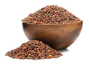 GRIZLY Mix troch druhov reďkovky BIO semienka na klíčenie 250 g