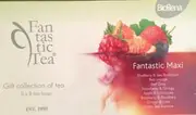 Biogena Fantastic Tea Maxi 8x8 64 ks
