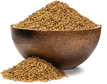 GRIZLY  Alfalfa BIO semienka na klíčenie 250 g