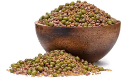 GRIZLY Mungo, alfalfa, reďkev BIO mix semienok na klíčenie 250 g