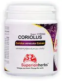 SUPERIONHERBS Coriolus versicolor Extrakt 50% polysacharidov 90 kapsúl