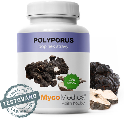 MycoMedica Polyporus 90 tabliet