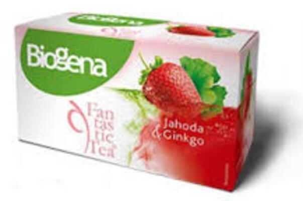 Biogena Fantastic Tea Jahoda &amp; Ginkgo 20 x 2,5 g