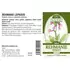 Náděje - Podhorná Rehmania lepkavá tinktúra z byliny 50 ml