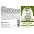 Náděje - Podhorná Túžobník brestový tinktúra z byliny 50 ml