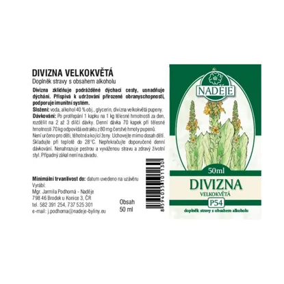 Divozel veľkokvetý tinktúra z púčikov