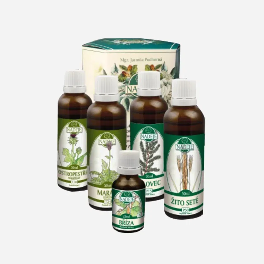 Doplnok z bylín pre ochranu a podporu činnosti pečene