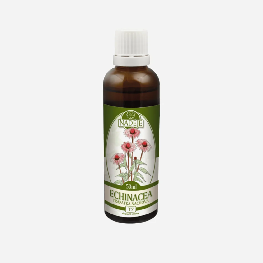 Echinacea tinktúra z byliny