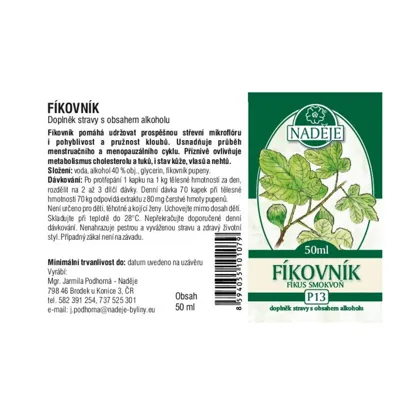 Figovník tinktúra z púčikov