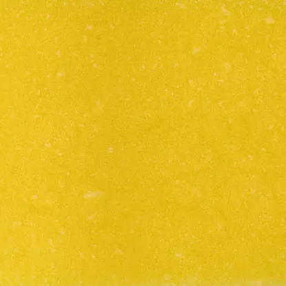 Ghi prepustené maslo