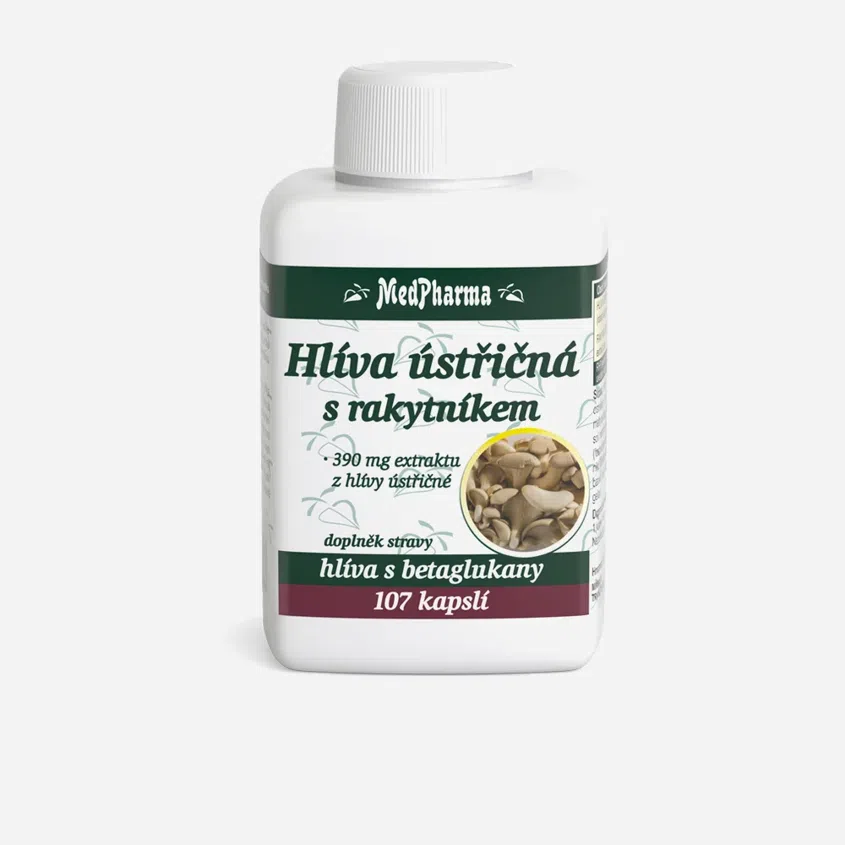 Hlíva ústřičná s rakytníkem