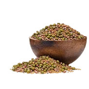 Semienka na klíčenie