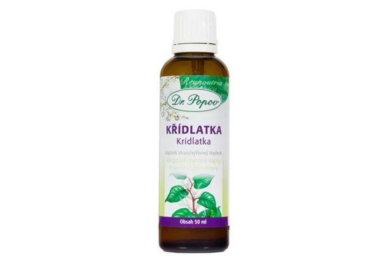 Krídlatka