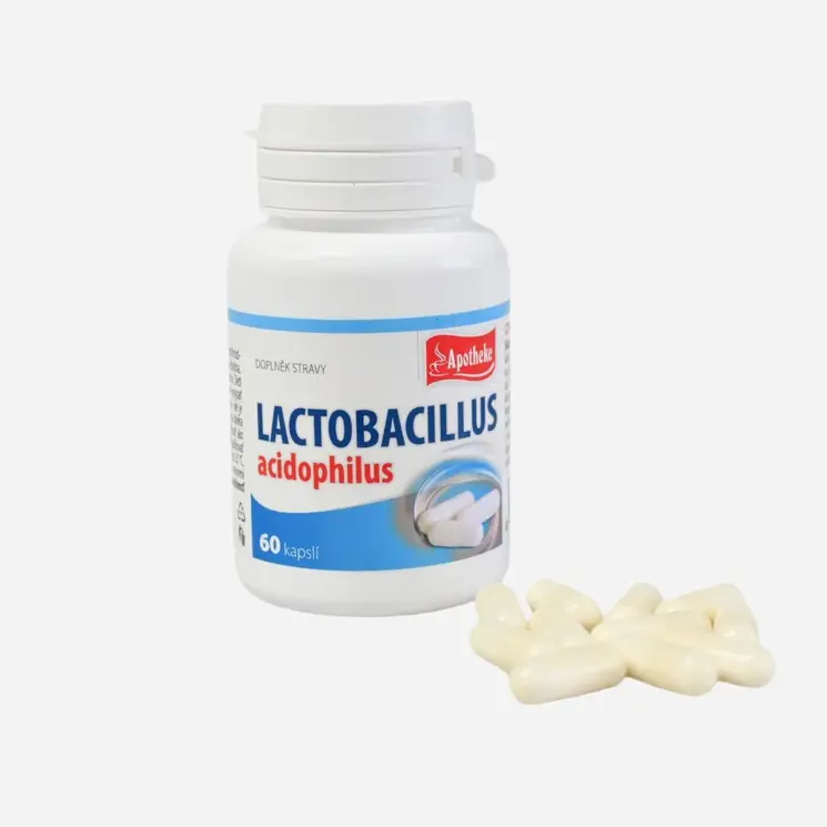 Lactobacillus