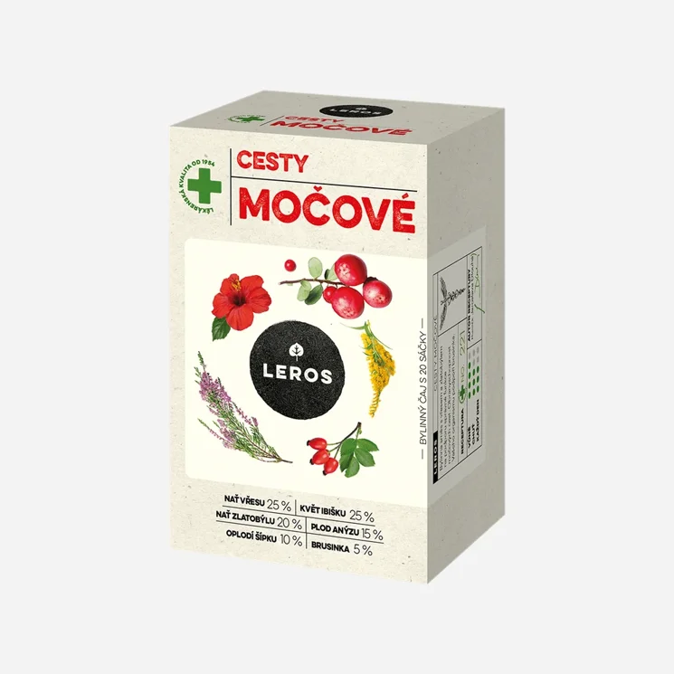 Močové cesty, obličky