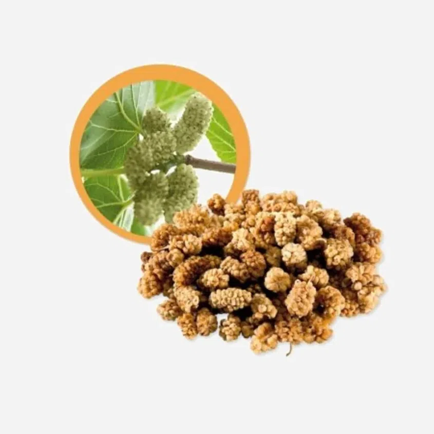 Moruša biela sušená BIO